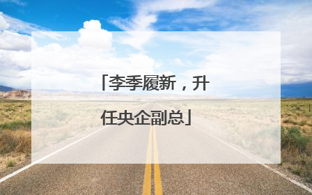 李季履新，升任央企副总
