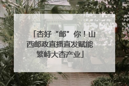 杏好“邮”你！山西邮政直播直发赋能繁峙大杏产业