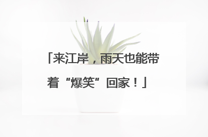 来江岸，雨天也能带着“爆笑”回家！