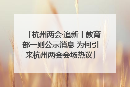 杭州两会·追新丨教育部一则公示消息 为何引来杭州两会会场热议