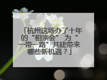 杭州这场办了十年的“相亲会” 为“一带一路”共建带来哪些新机遇？