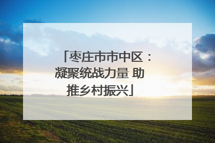 枣庄市市中区：凝聚统战力量 助推乡村振兴