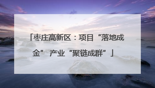 枣庄高新区：项目“落地成金” 产业“聚链成群”