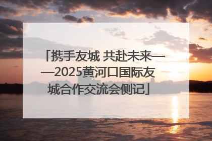 携手友城 共赴未来——2025黄河口国际友城合作交流会侧记