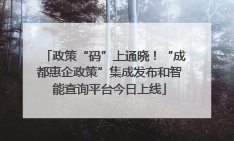 政策“码”上通晓！“成都惠企政策”集成发布和智能查询平台今日上线