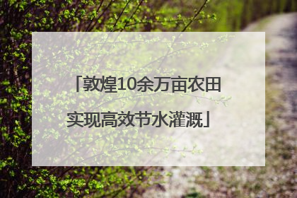 敦煌10余万亩农田实现高效节水灌溉