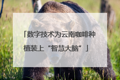 数字技术为云南咖啡种植装上“智慧大脑”