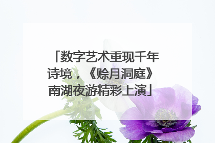 数字艺术重现千年诗境，《赊月洞庭》南湖夜游精彩上演