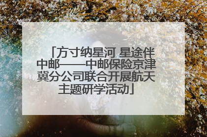 方寸纳星河 星途伴中邮——中邮保险京津冀分公司联合开展航天主题研学活动