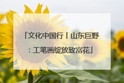 文化中国行丨山东巨野：工笔画绽放致富花