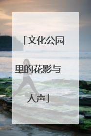 文化公园里的花影与人声