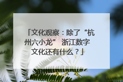 文化观察：除了“杭州六小龙” 浙江数字文化还有什么？