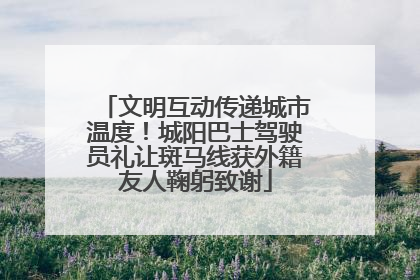 文明互动传递城市温度！城阳巴士驾驶员礼让斑马线获外籍友人鞠躬致谢