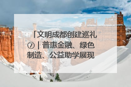 文明成都创建巡礼⑦｜普惠金融、绿色制造、公益助学展现城市文明底色