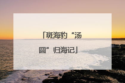 斑海豹“汤圆”归海记