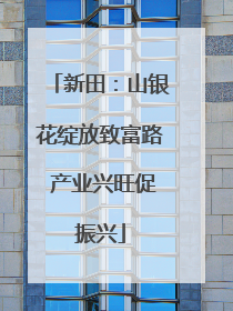 新田：山银花绽放致富路 产业兴旺促振兴
