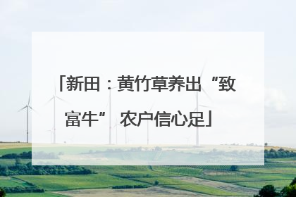 新田：黄竹草养出“致富牛” 农户信心足
