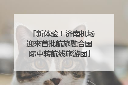 新体验！济南机场迎来首批航旅融合国际中转航线旅游团