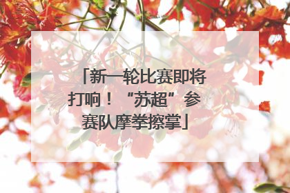 新一轮比赛即将打响！“苏超”参赛队摩拳擦掌