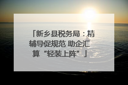 新乡县税务局：精辅导促规范 助企汇算“轻装上阵”