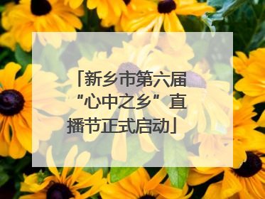 新乡市第六届“心中之乡”直播节正式启动
