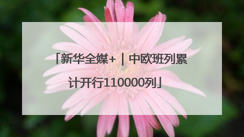 新华全媒+｜中欧班列累计开行110000列