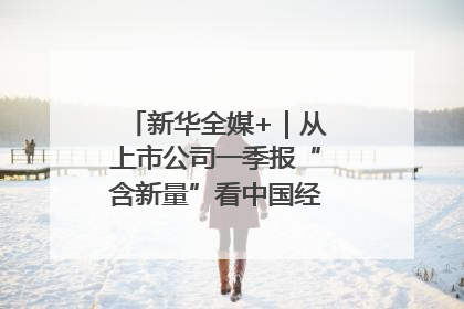 新华全媒+｜从上市公司一季报“含新量”看中国经济发展向“新”