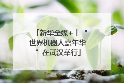 新华全媒+丨“世界机器人嘉年华”在武汉举行