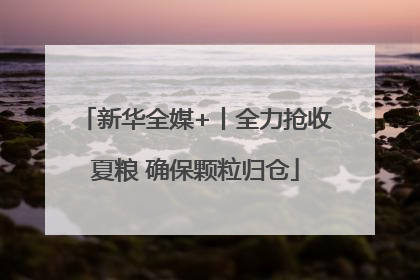 新华全媒+丨全力抢收夏粮 确保颗粒归仓