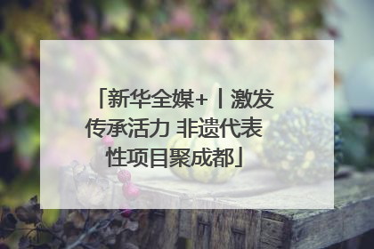 新华全媒+丨激发传承活力 非遗代表性项目聚成都