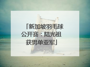新加坡羽毛球公开赛：陆光祖获男单亚军