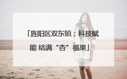 旌阳区双东镇：科技赋能 结满“杏”福果