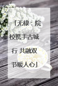 无棣：院校携手古城行 共融双节暖人心