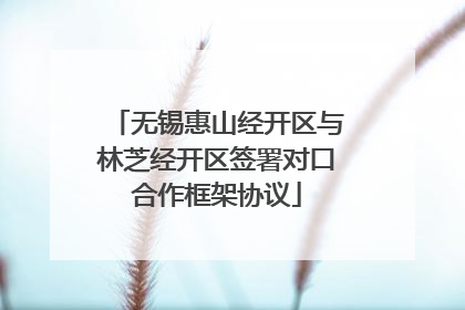 无锡惠山经开区与林芝经开区签署对口合作框架协议