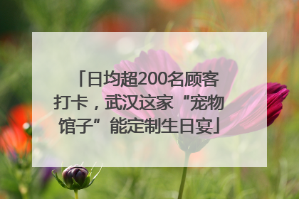 日均超200名顾客打卡，武汉这家“宠物馆子”能定制生日宴