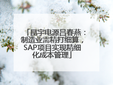 昆宇电源吕春燕：制造业需精打细算，SAP项目实现精细化成本管理