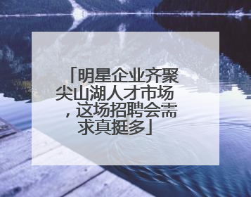明星企业齐聚尖山湖人才市场，这场招聘会需求真挺多