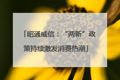 昭通威信：“两新”政策持续激发消费热潮