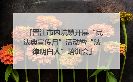 晋江市内坑镇开展“民法典宣传月”活动暨“法律明白人”培训会