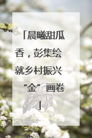 晨曦甜瓜香，彭集绘就乡村振兴“金”画卷