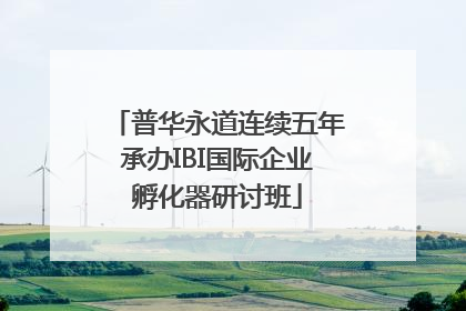 普华永道连续五年承办IBI国际企业孵化器研讨班