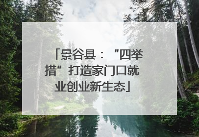 景谷县：“四举措”打造家门口就业创业新生态