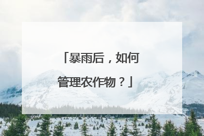 暴雨后，如何管理农作物？