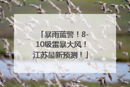 暴雨蓝警！8-10级雷暴大风！江苏最新预测！