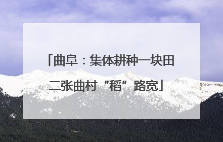 曲阜：集体耕种一块田 二张曲村“稻”路宽