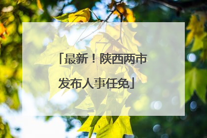 最新！陕西两市发布人事任免