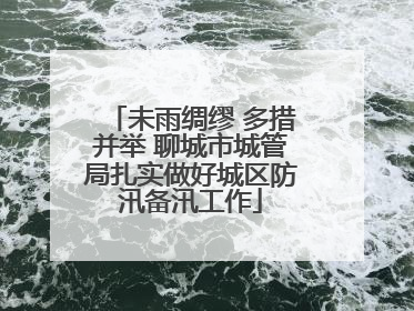 未雨绸缪 多措并举 聊城市城管局扎实做好城区防汛备汛工作