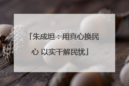 朱成坦：用真心换民心 以实干解民忧