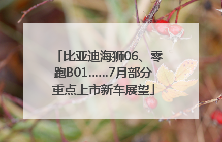 比亚迪海狮06、零跑B01……7月部分重点上市新车展望
