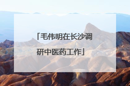 毛伟明在长沙调研中医药工作